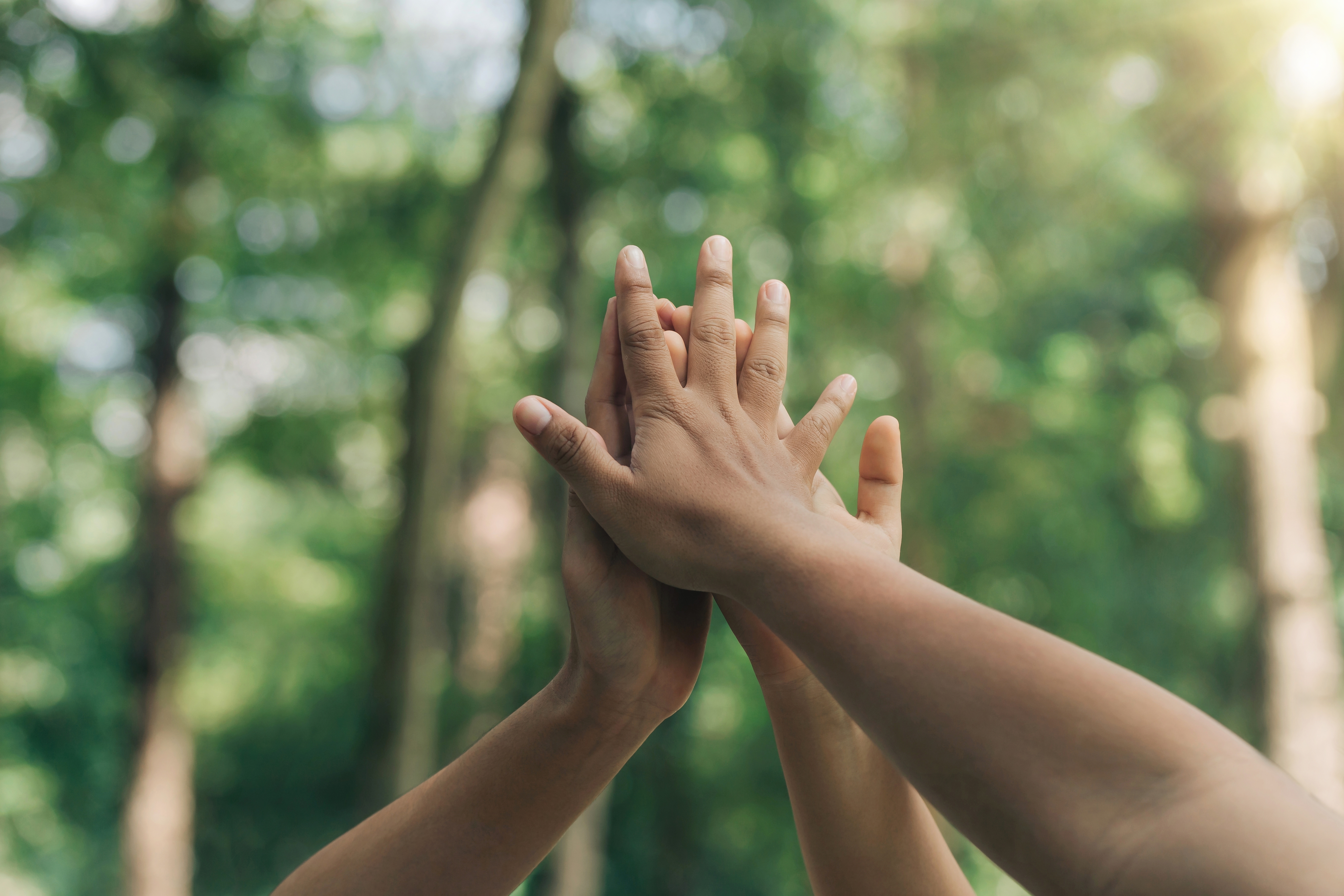 A group of hands high fiving in a green forest