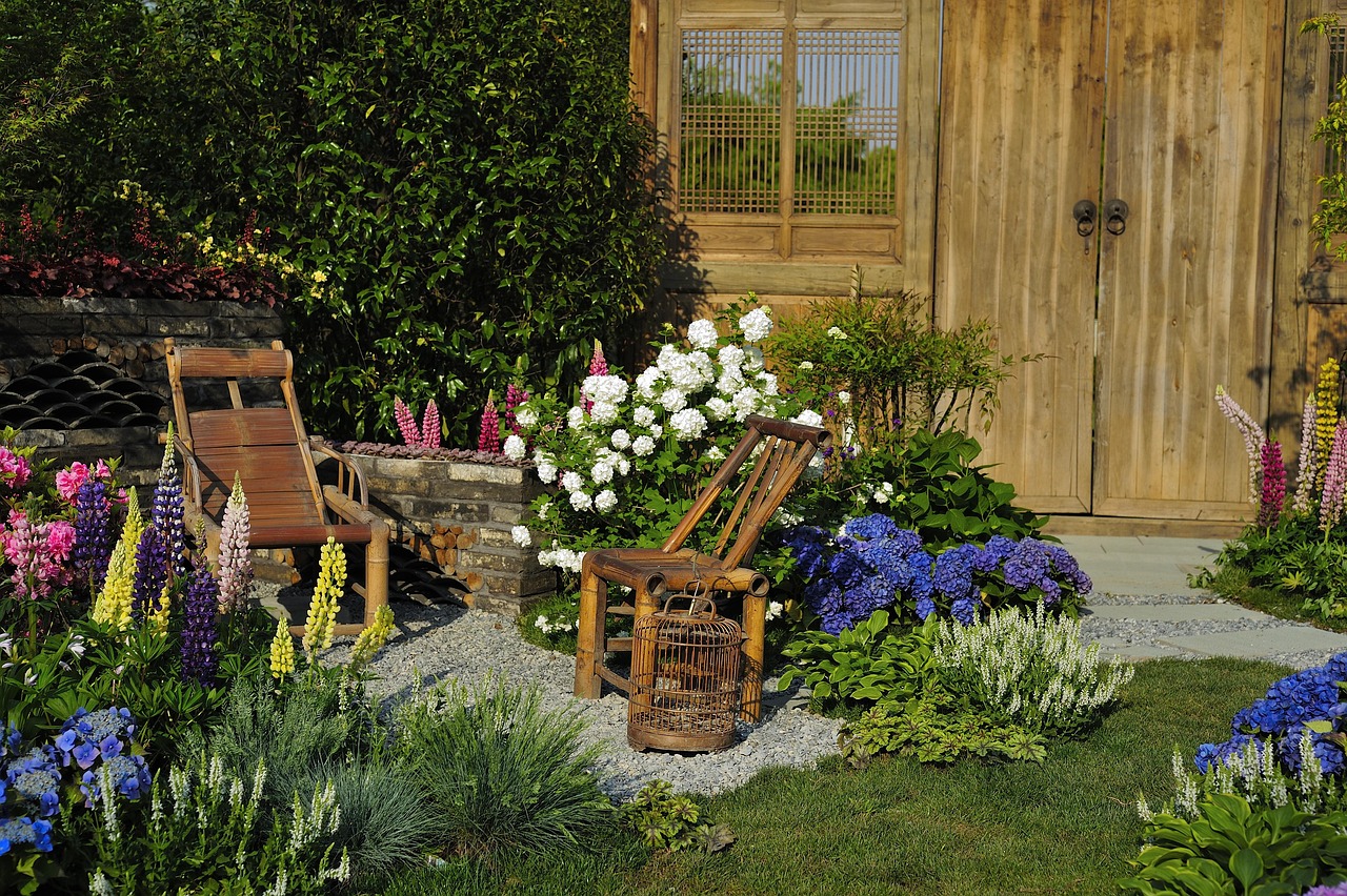 back garden of a house