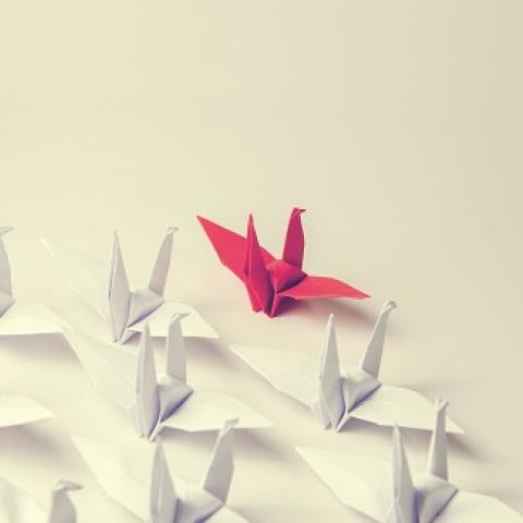 Origami birds