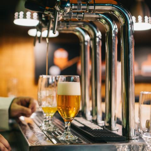 Beer