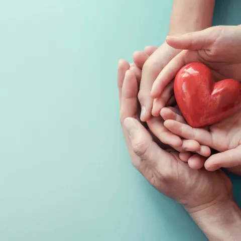 adult and child hands holding a red heart figure