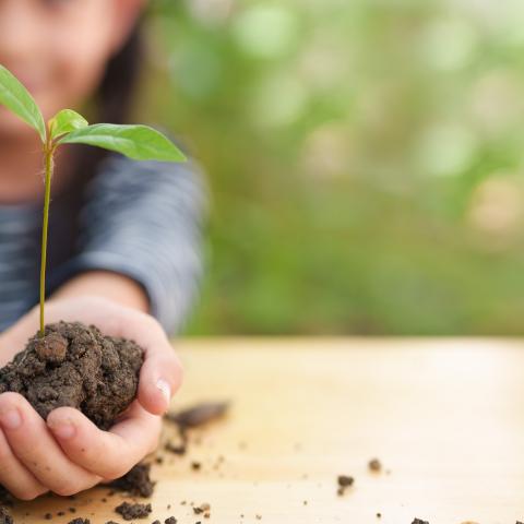 A child holds a small globe in one hand and a young green plant with soil in the other, symbolizing environmental protection and sustainability. The background is blurred greenery, creating a natural and hopeful atmosphere.