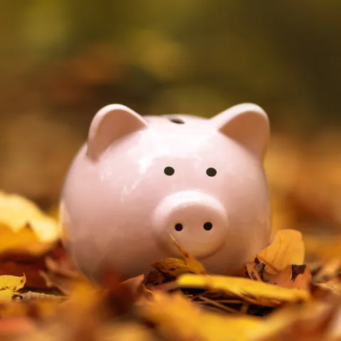 Pink piggy bank placed among autumn leaves, symbolising savings and finances in the autumn season.