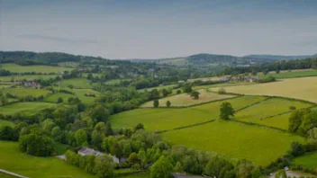 Feature image for Rural sector